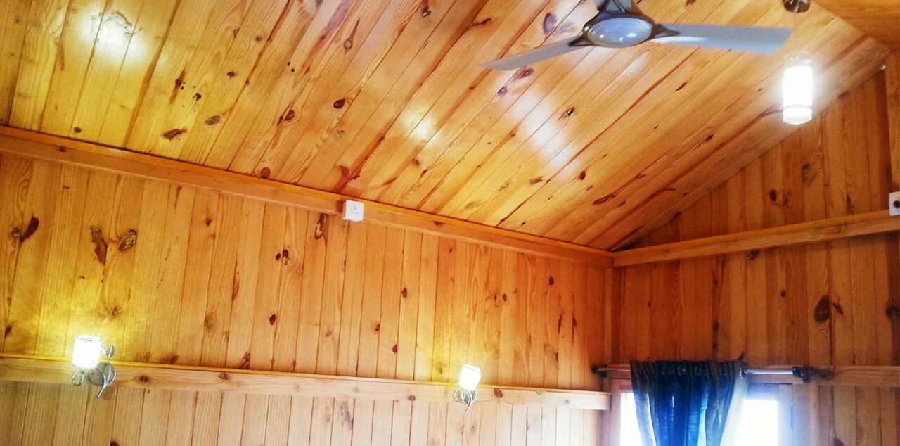 烏代浦 The Rustic Pines酒店 外观 照片